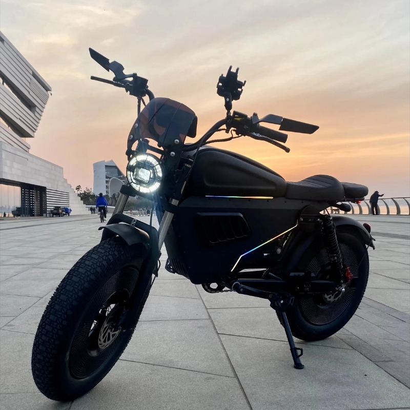 Sepeda Listrik Black Warrior 1 - 48V 1500W Rear Hub Motor With Battery ulasan dan harga